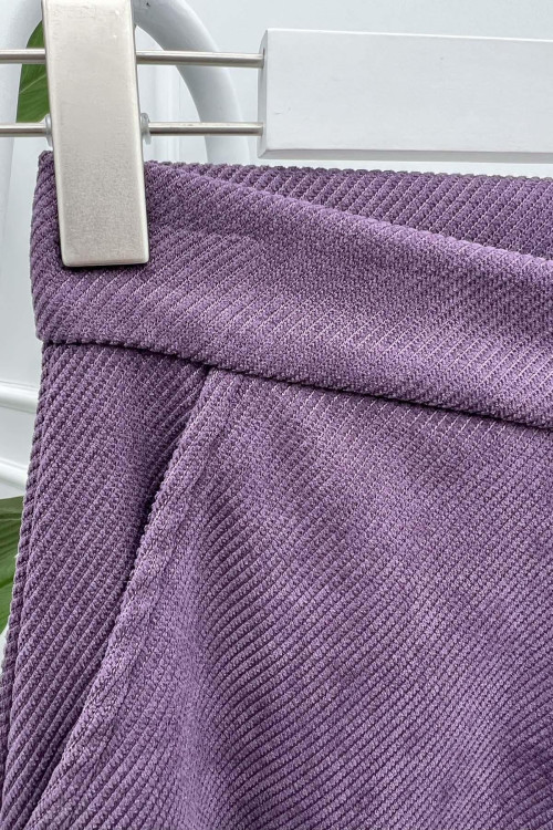 Striped Velvet Trousers Purple