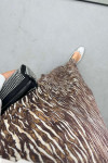 Zebra Patterned Shiny Skirt Brown